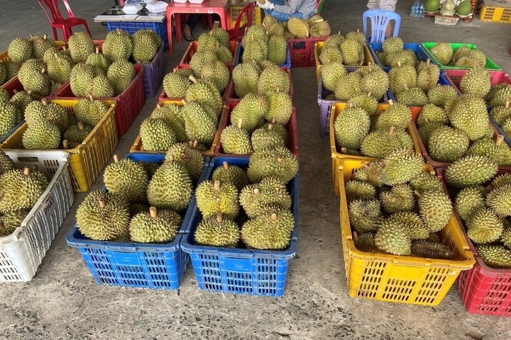 gia sau rieng anh 2