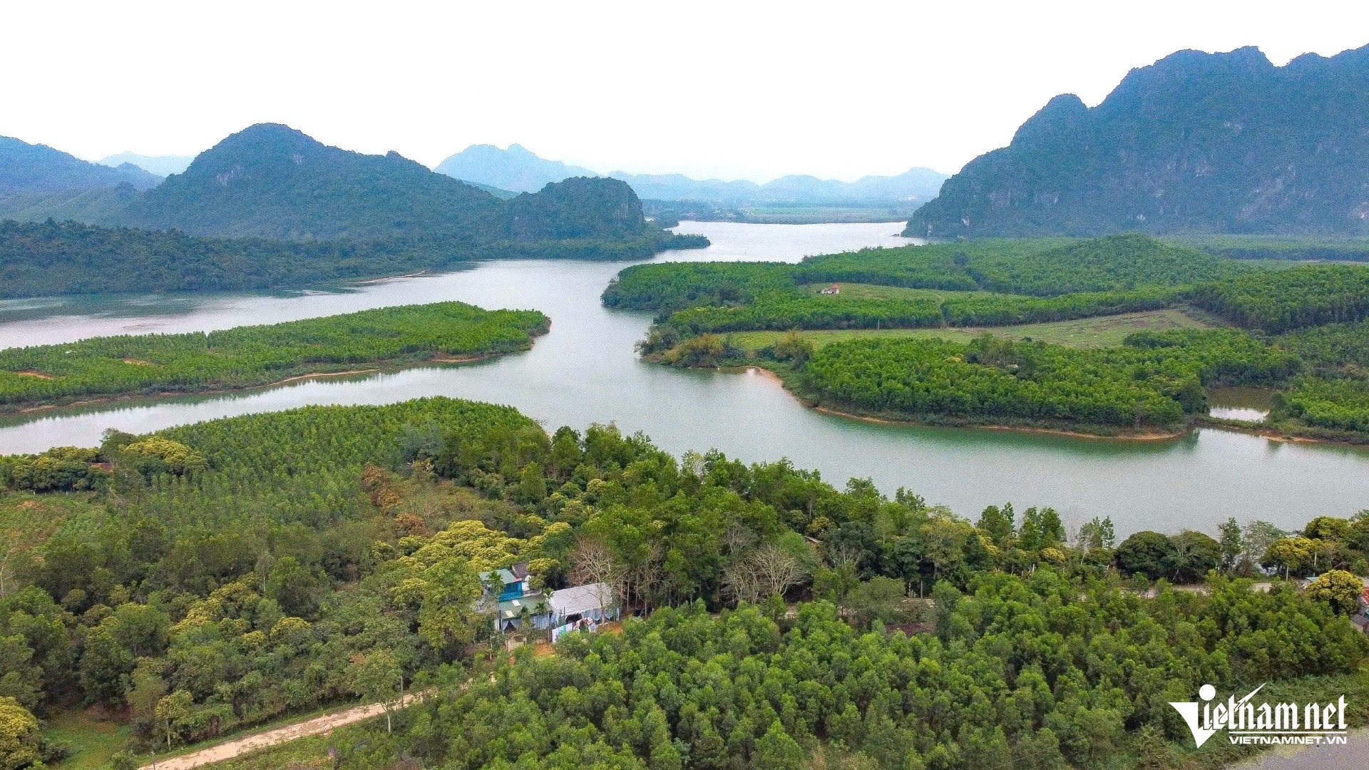 ben en,  nuoi ong anh 1