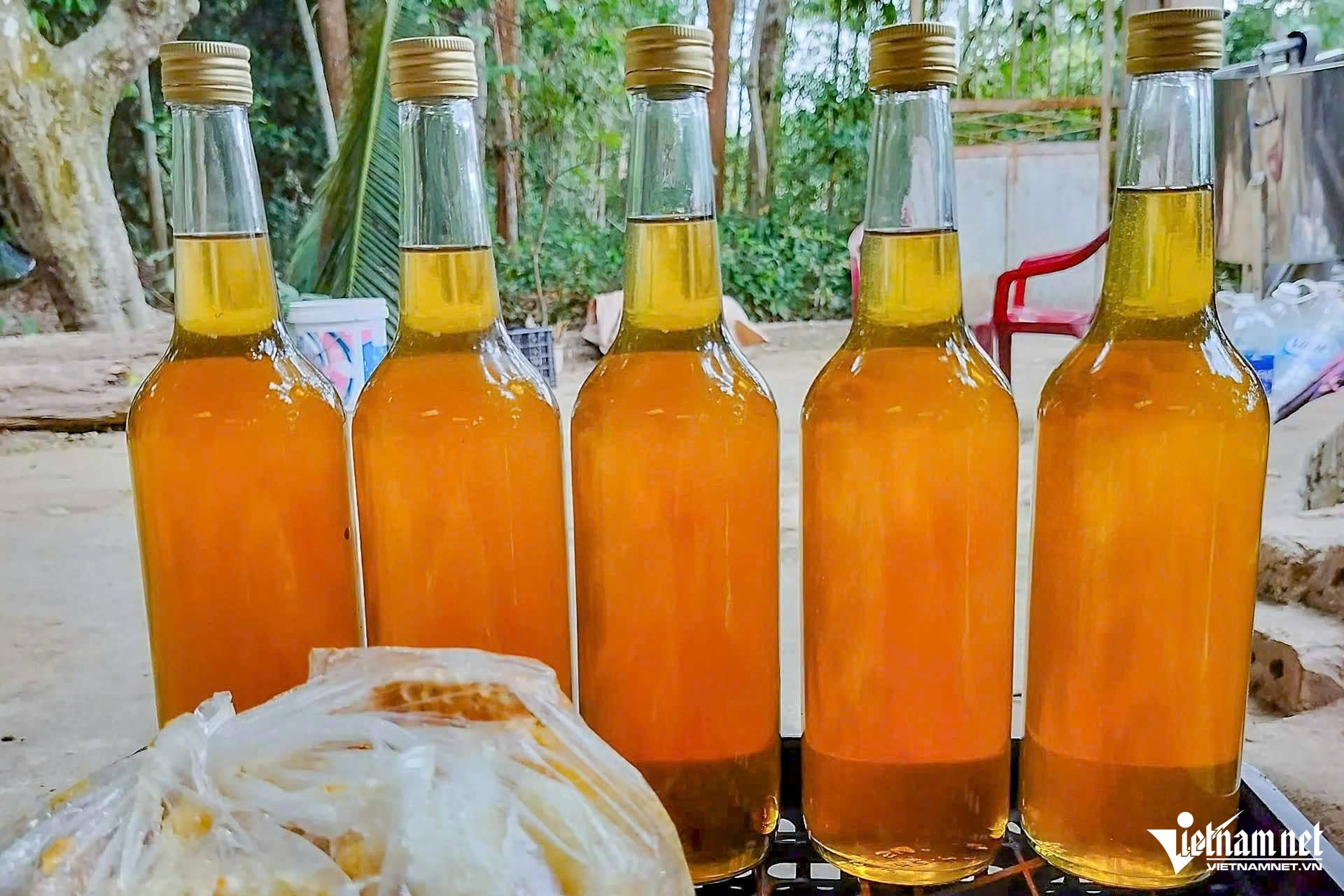 ben en,  nuoi ong anh 4