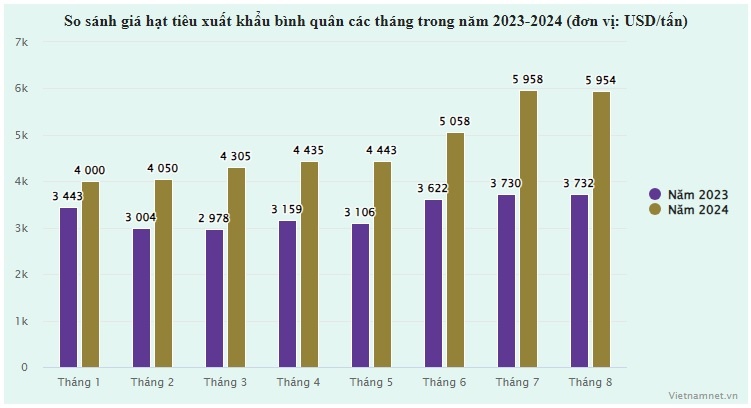 hat tieu viet nam anh 1