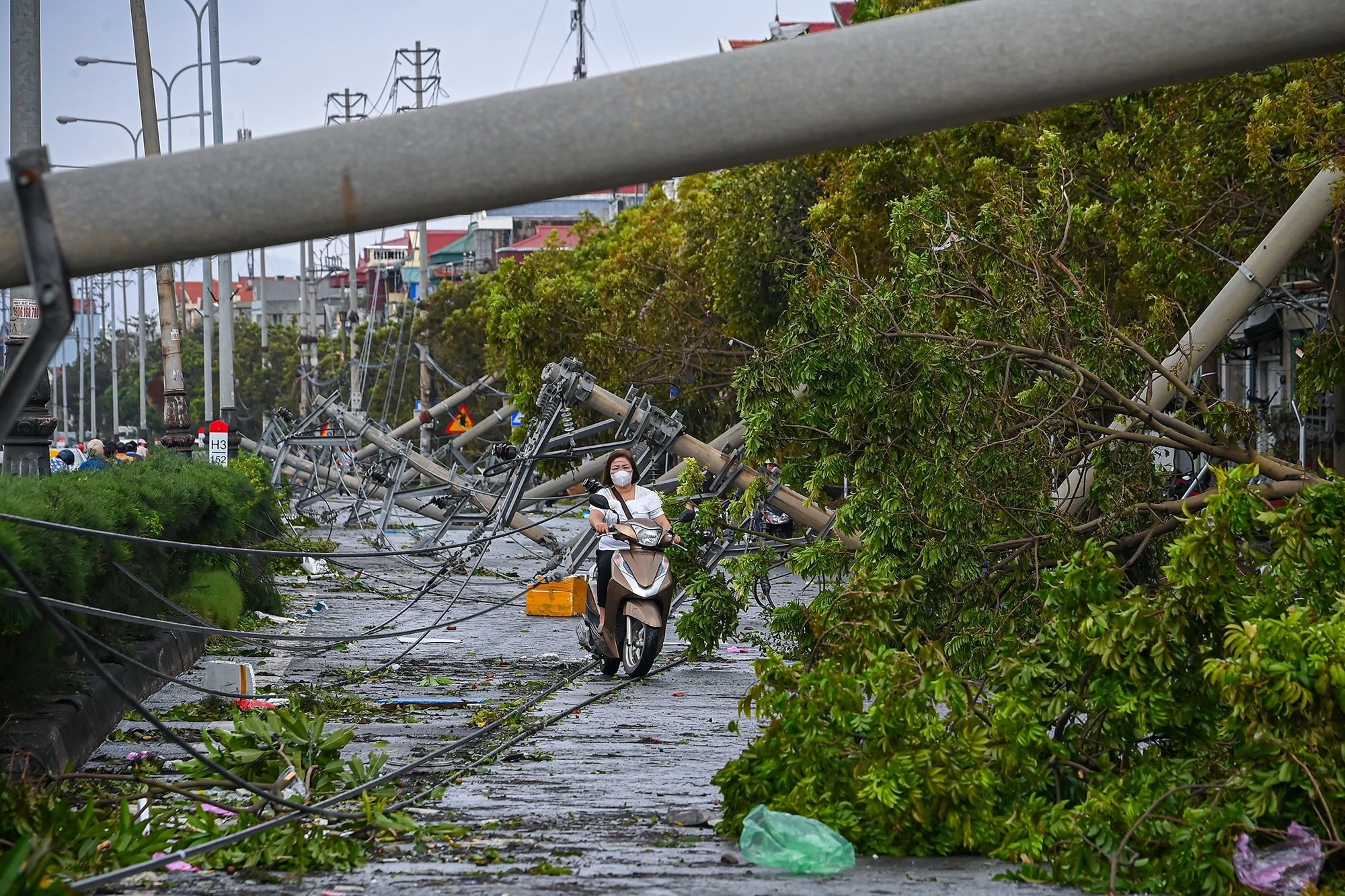 Nguoi dan Hai Phong, Quang Ninh sap co dien tro lai hinh anh