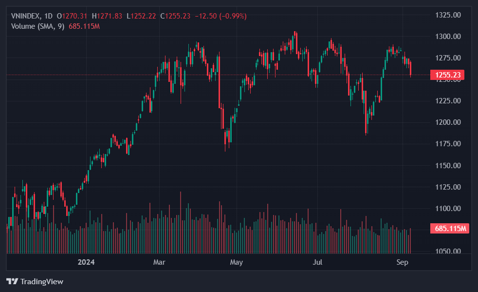 co phieu chan nuoi heo,  co phieu dbc,  chung khoan hom nay anh 1