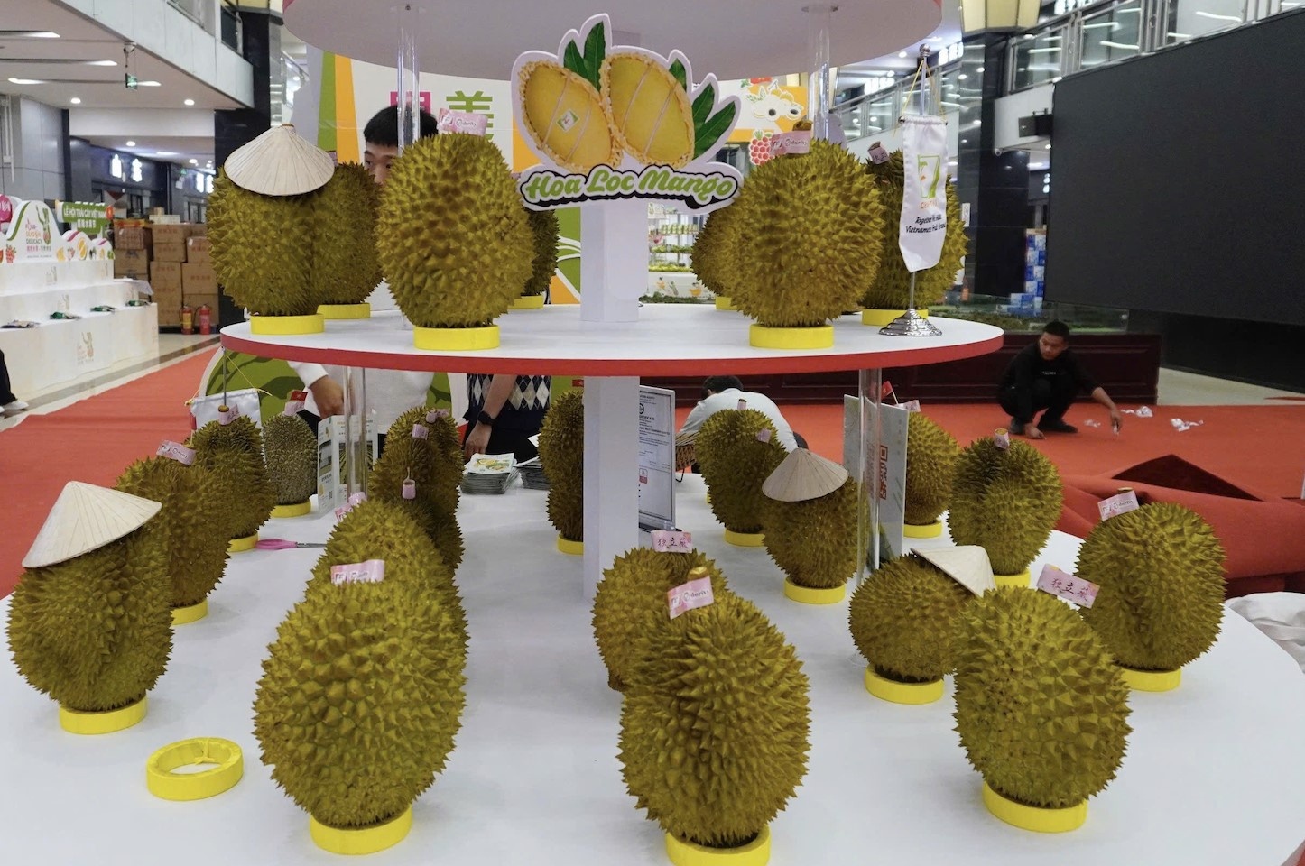 Viet Nam thu 4,5 ty USD tu 12 loai trai cay xuat sang Trung Quoc hinh anh