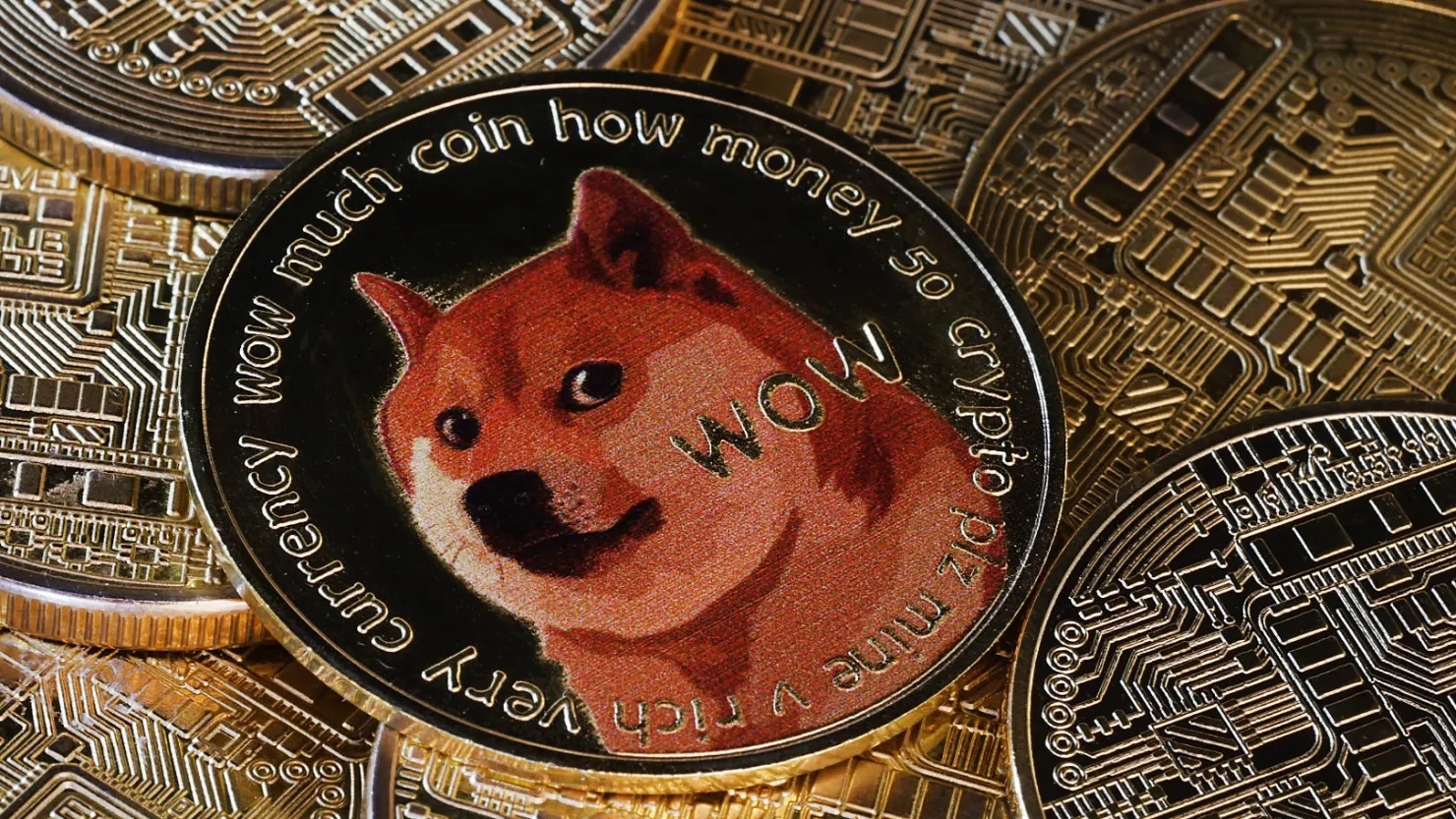Dogecoin tang vot sau khi Elon Musk co chuc vu moi hinh anh