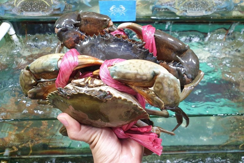 Trung Quoc 'chuong' cua ghe Viet Nam, nhu cau mua tang gap 8 lan hinh anh