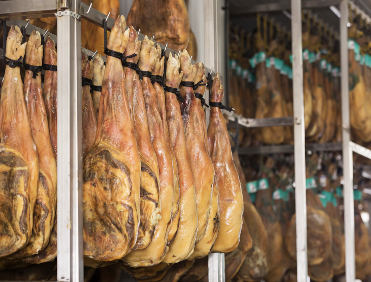 Dui heo muoi Tay Ban Nha gia 40 trieu dong/chiec do bo cho Tet hinh anh