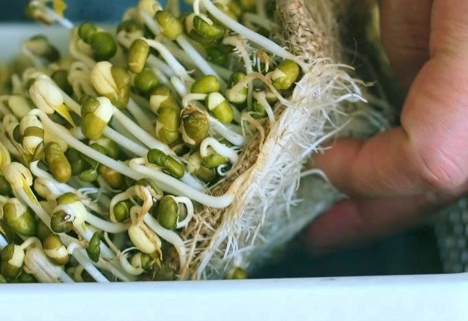 Co quan nao chiu trach nhiem vu 3.000 tan gia do u chat cam? hinh anh