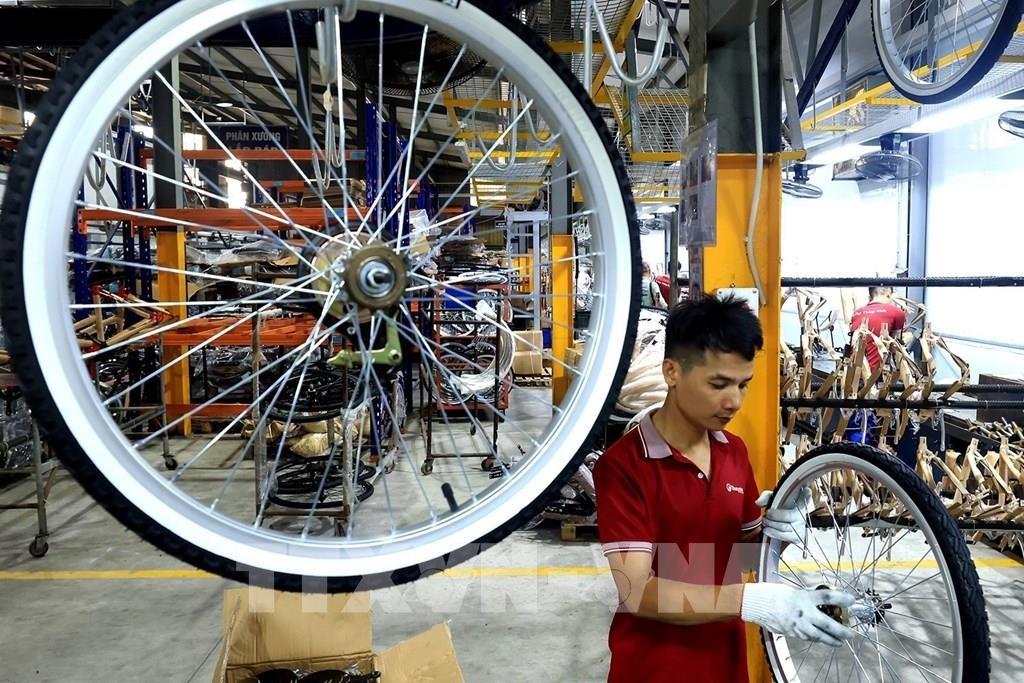 Xe dap Thong Nhat 'hoi sinh', co phieu tang gap 3 lan sau Tet hinh anh