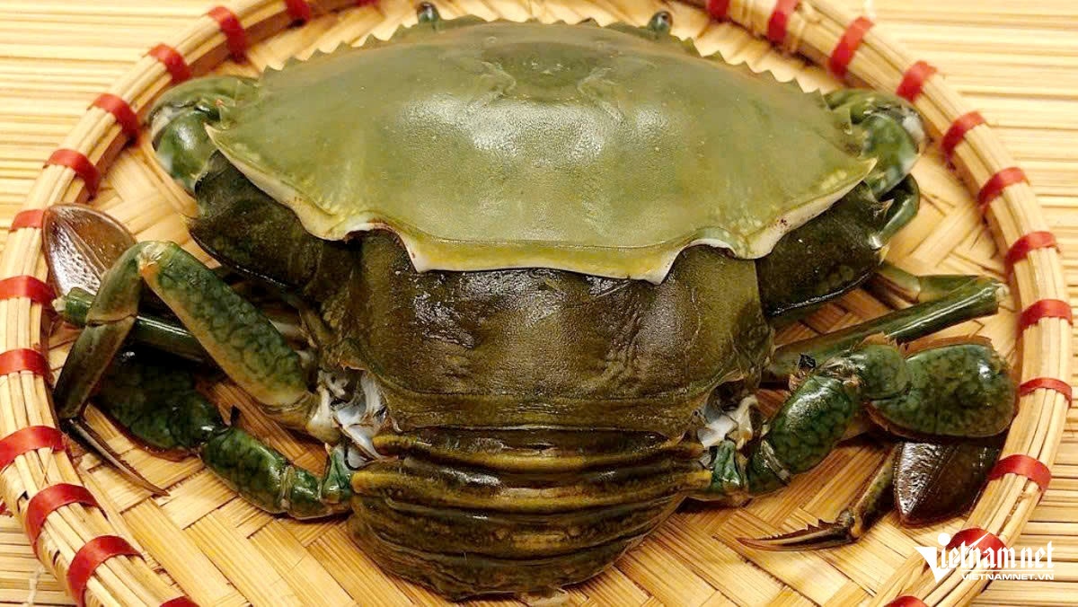 nghe nuoi cua,  nong dan anh 5