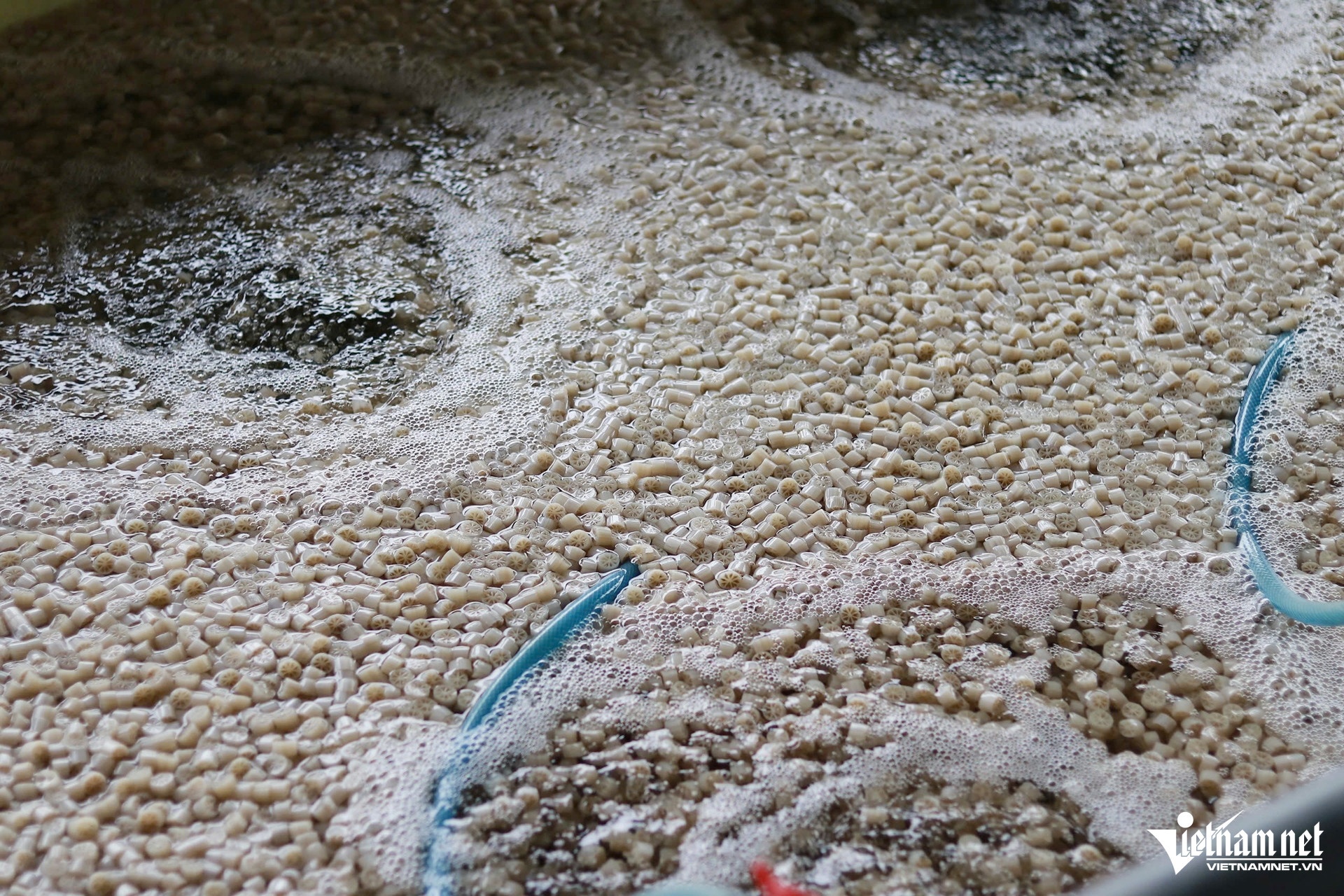 nghe nuoi cua,  nong dan anh 3