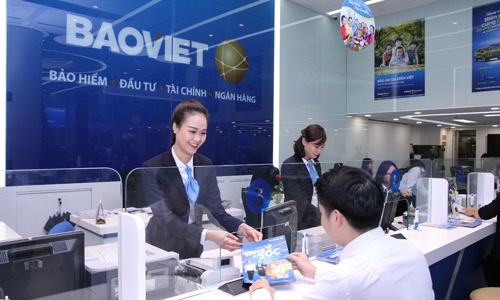 Co phieu 'ong lon' bao hiem len dinh 3 nam hinh anh