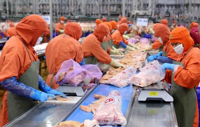 Thit ga Viet Nam sap duoc xuat khau Singapore hinh anh