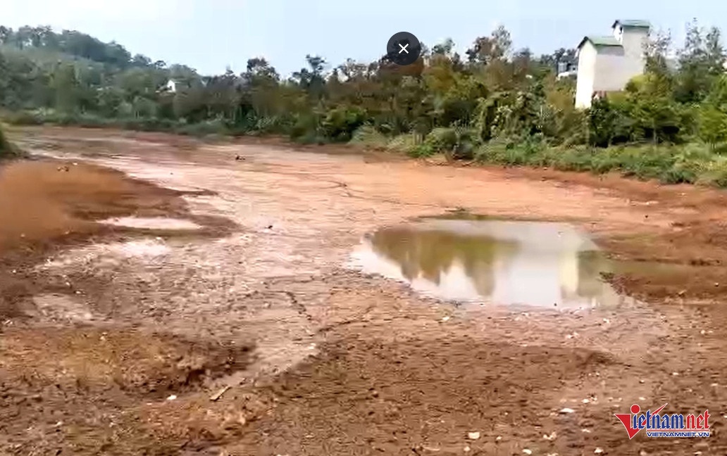 ca phe,  gia ca phe,  xuat khau anh 1