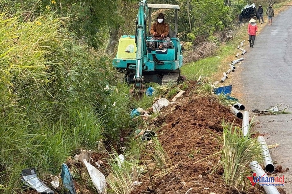 ca phe,  gia ca phe,  xuat khau anh 2