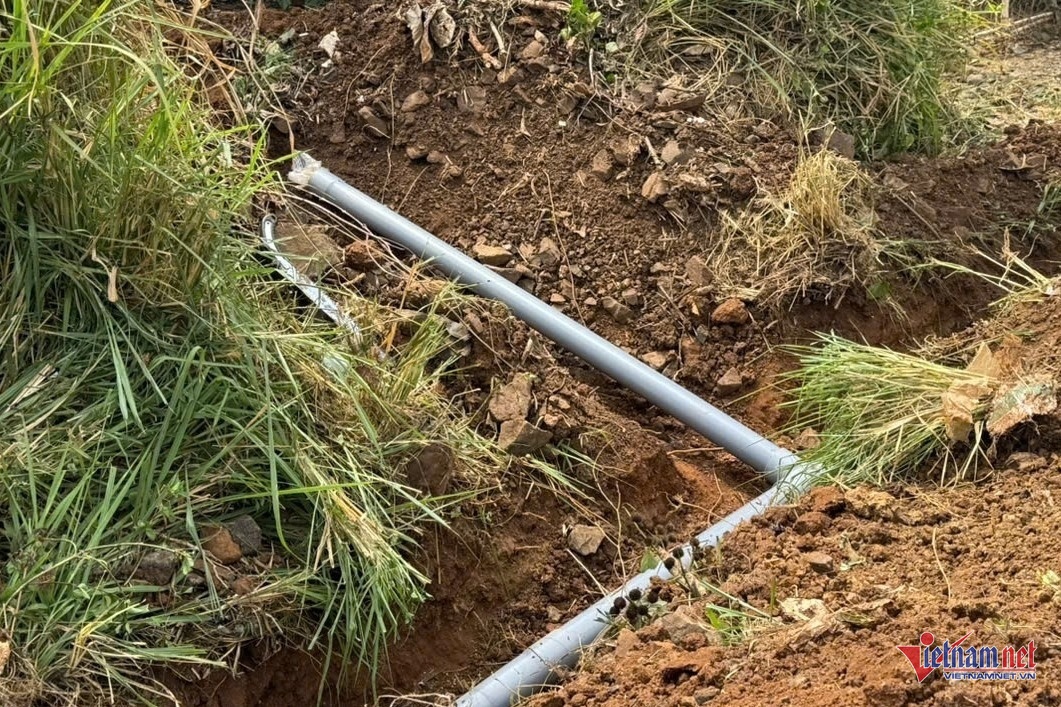 ca phe,  gia ca phe,  xuat khau anh 3