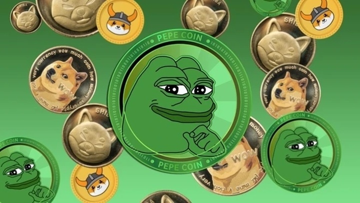 dau tu memecoin anh 2