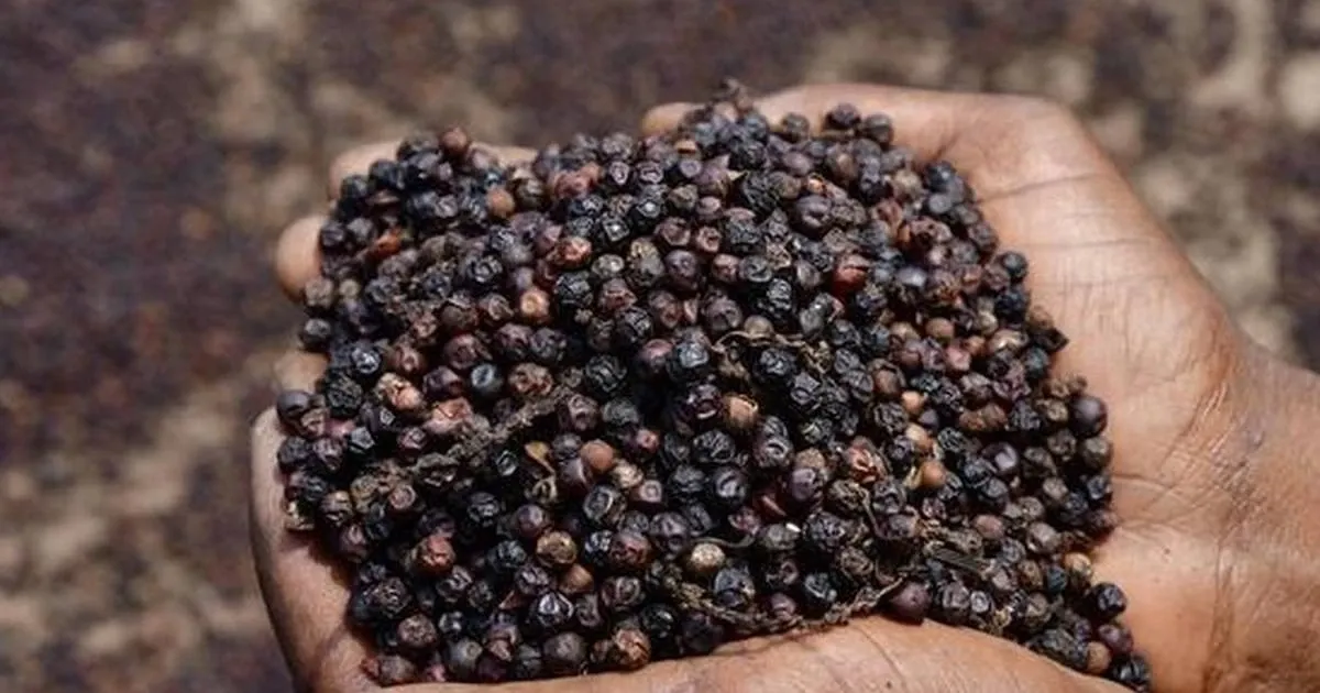 Ban 'vang den' cho nuoc ngoai thu ty USD hinh anh