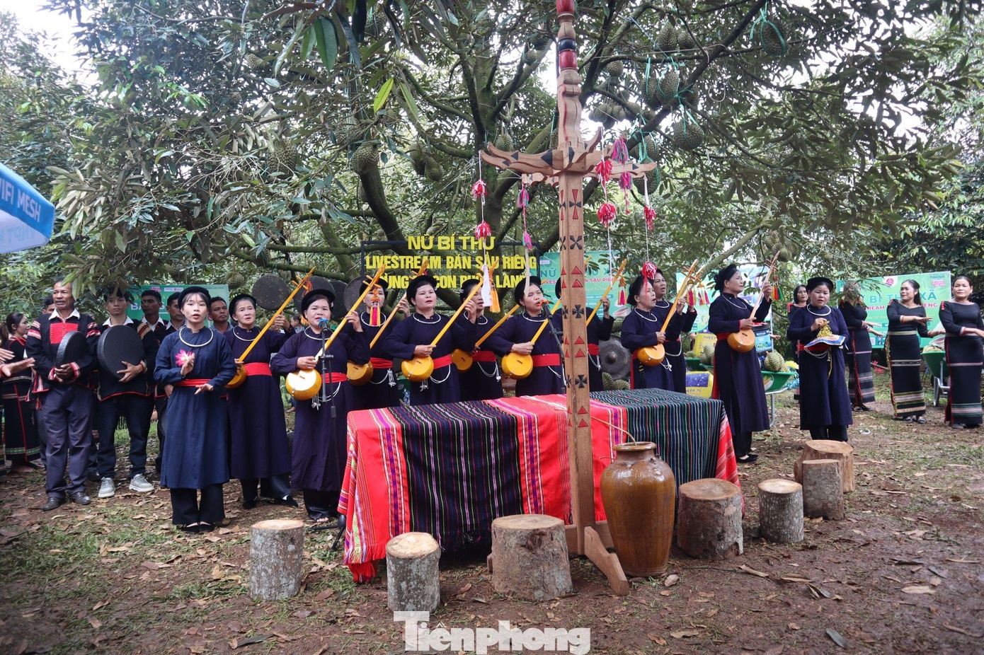 livestream ban sau rieng anh 3