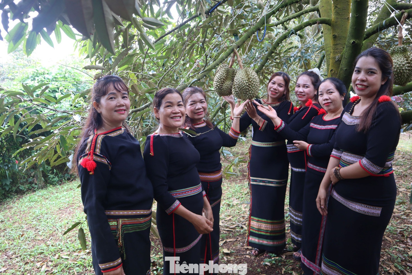 livestream ban sau rieng anh 7