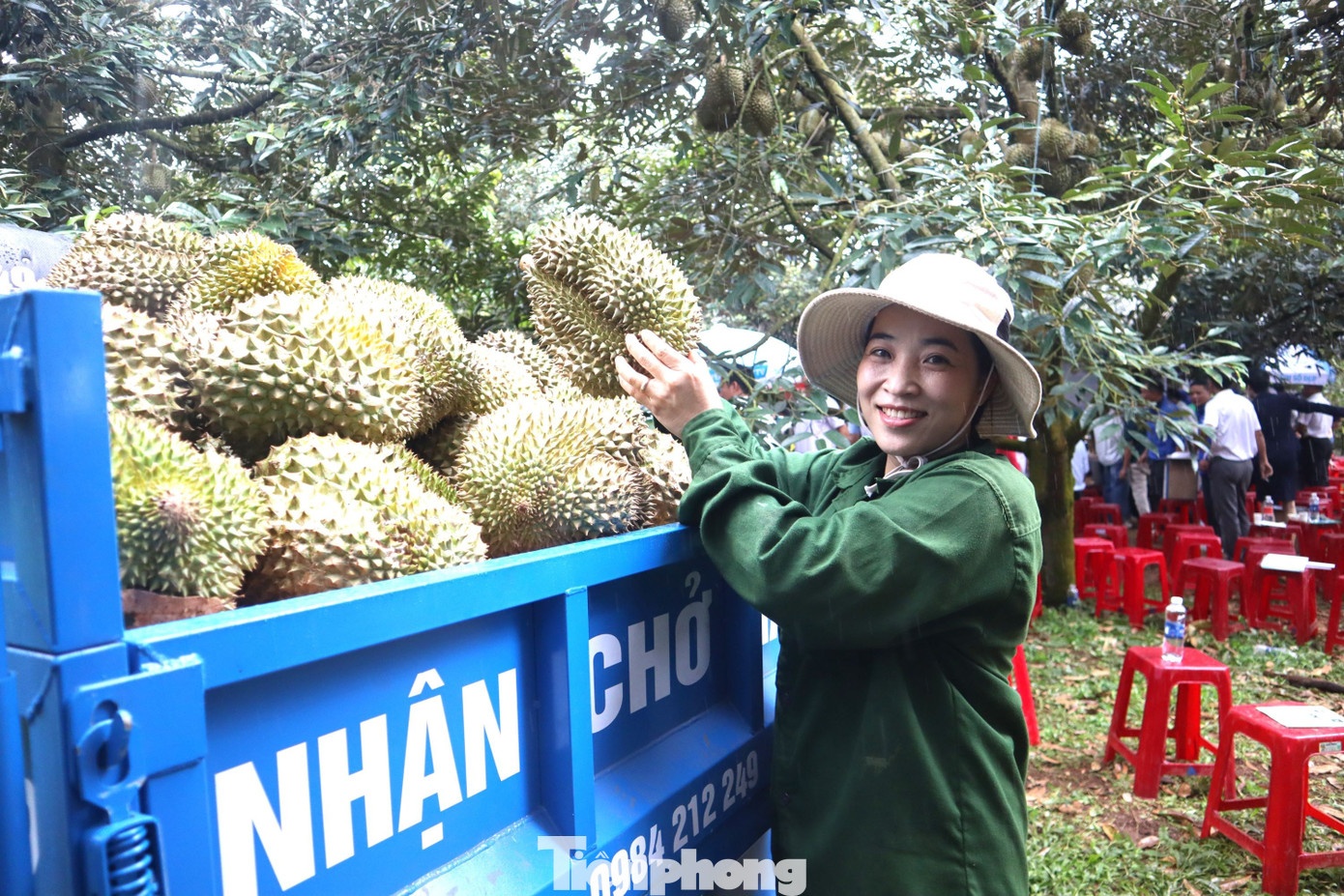 livestream ban sau rieng anh 10