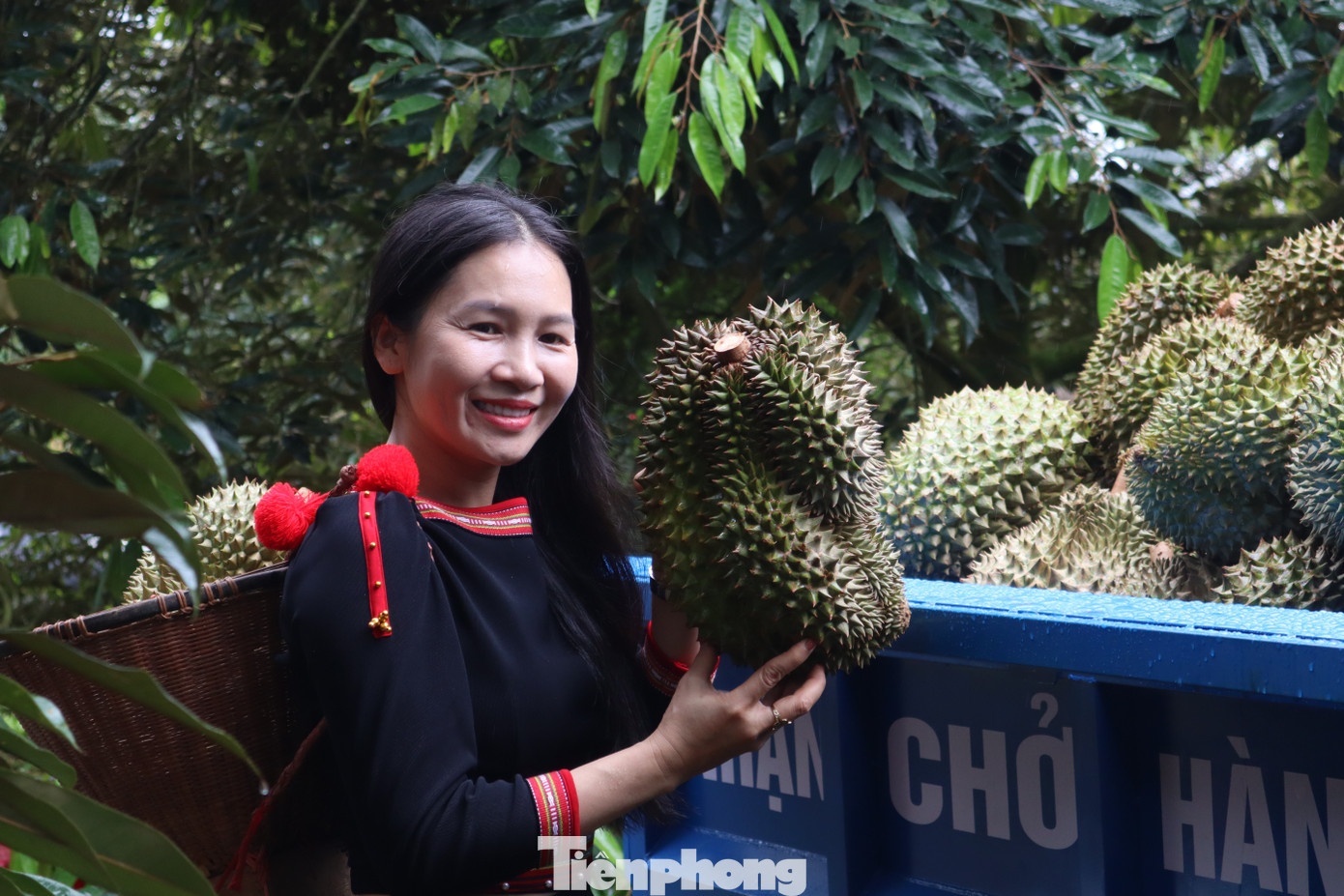 livestream ban sau rieng anh 8