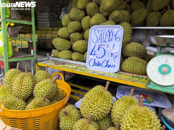 sau rieng anh 4