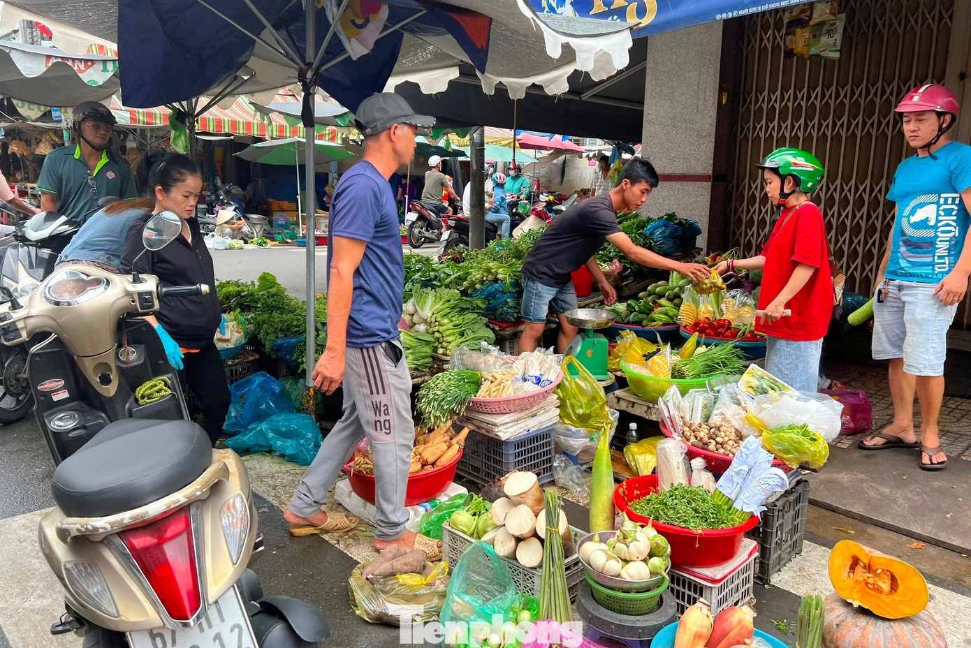 gia rau tang sau bao,  gia ca bao bualoi anh 1
