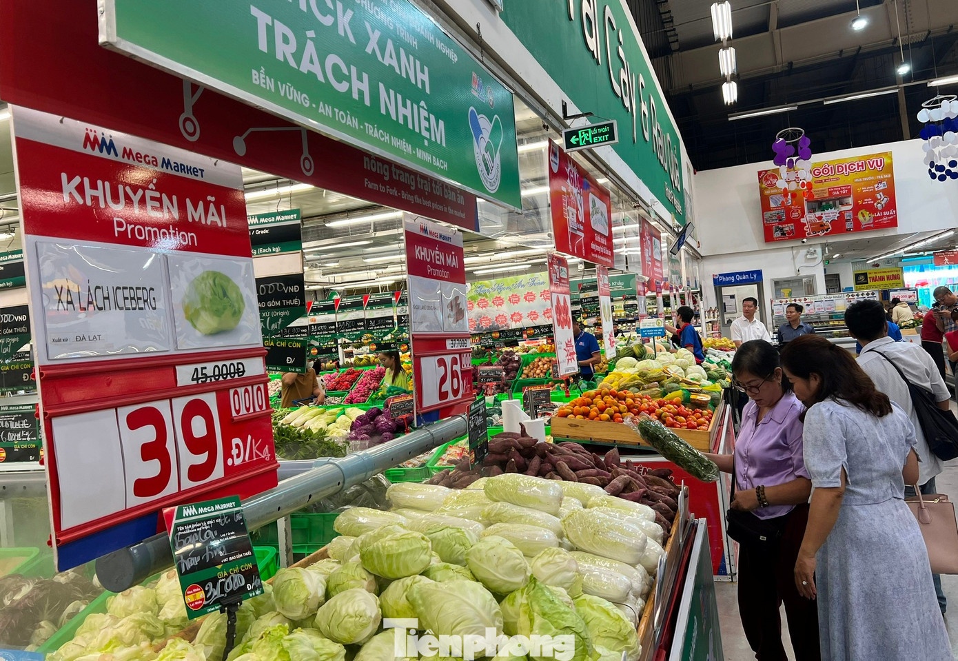 gia rau tang sau bao,  gia ca bao bualoi anh 6