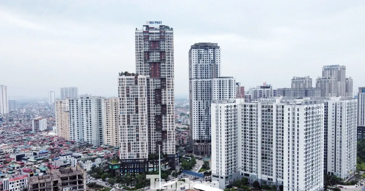 San giao dich bat dong san: Khong xay ra 'binh moi ruou cu'? hinh anh