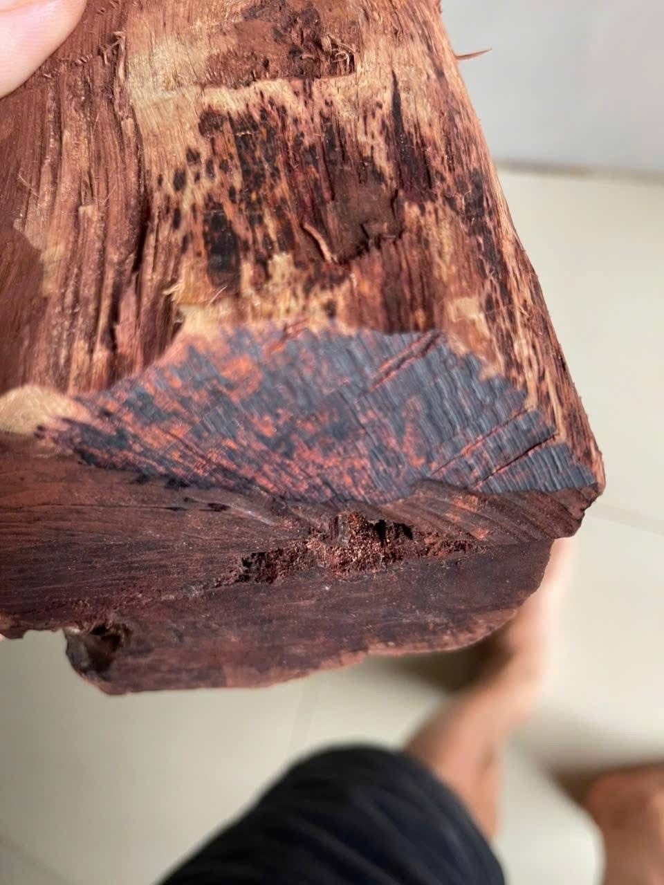 gỗ mán đỉa ảnh 2 go man dia anh 2