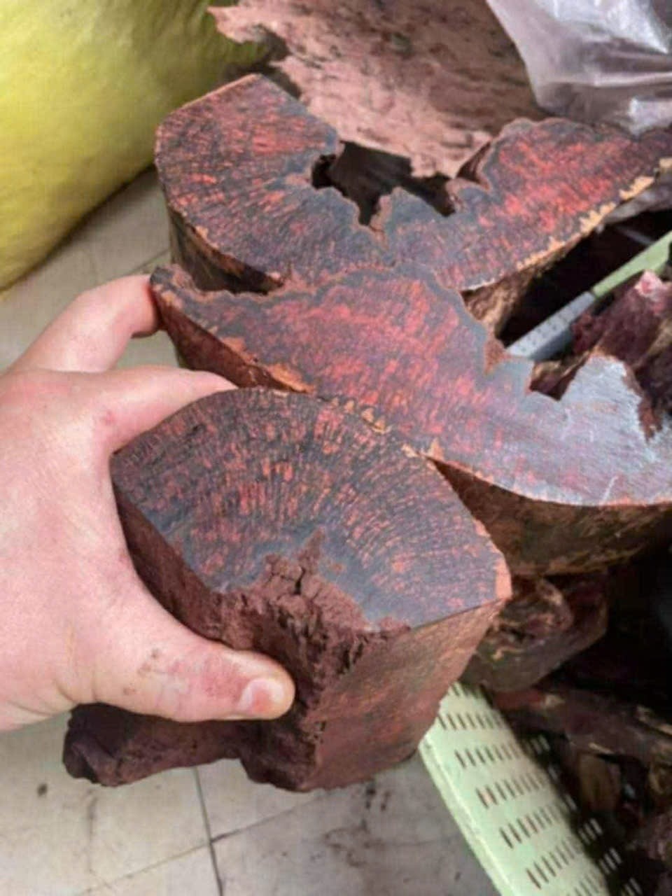 gỗ mán đỉa ảnh 3 go man dia anh 3