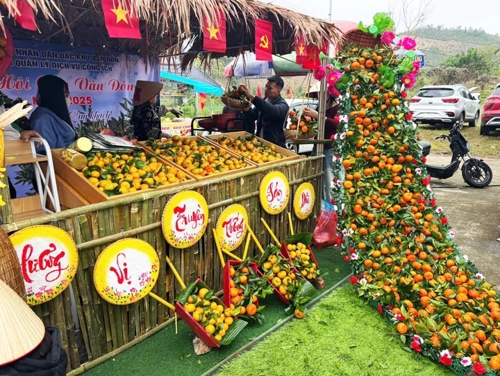 Thu tien ty nho trong cam ban dia o Van Don hinh anh