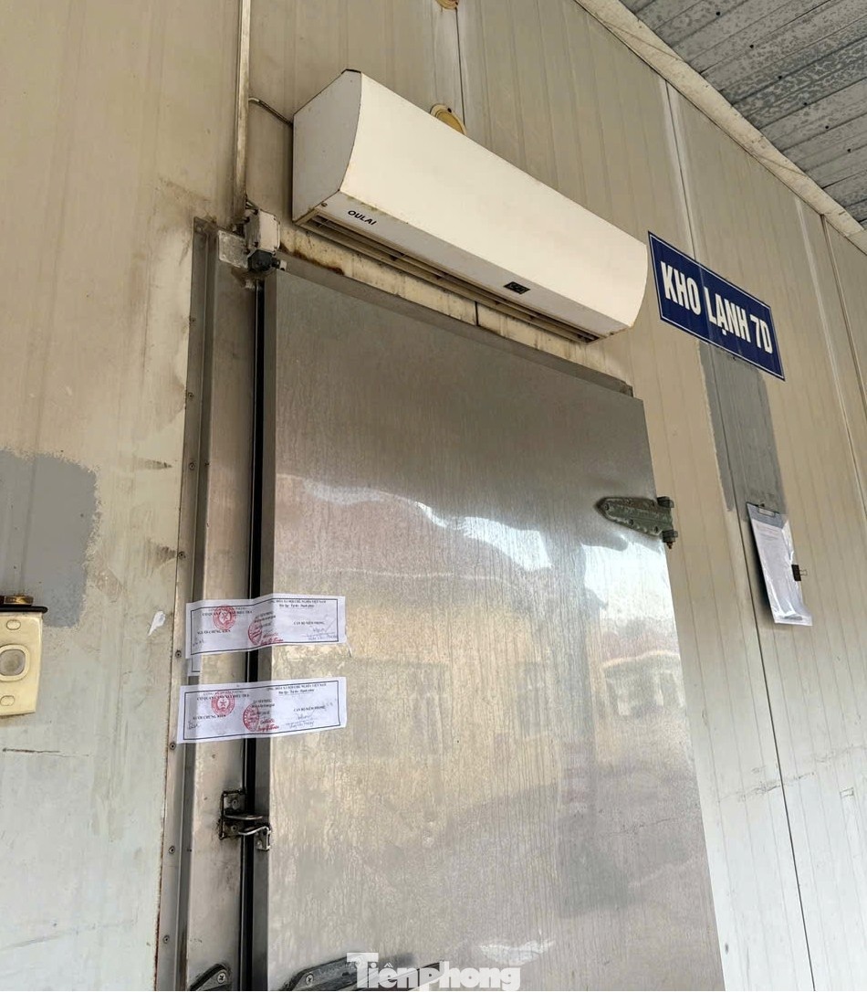 do hop ha long anh 5