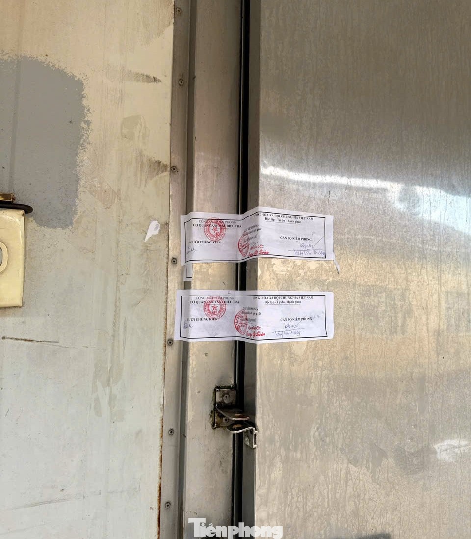 do hop ha long anh 6