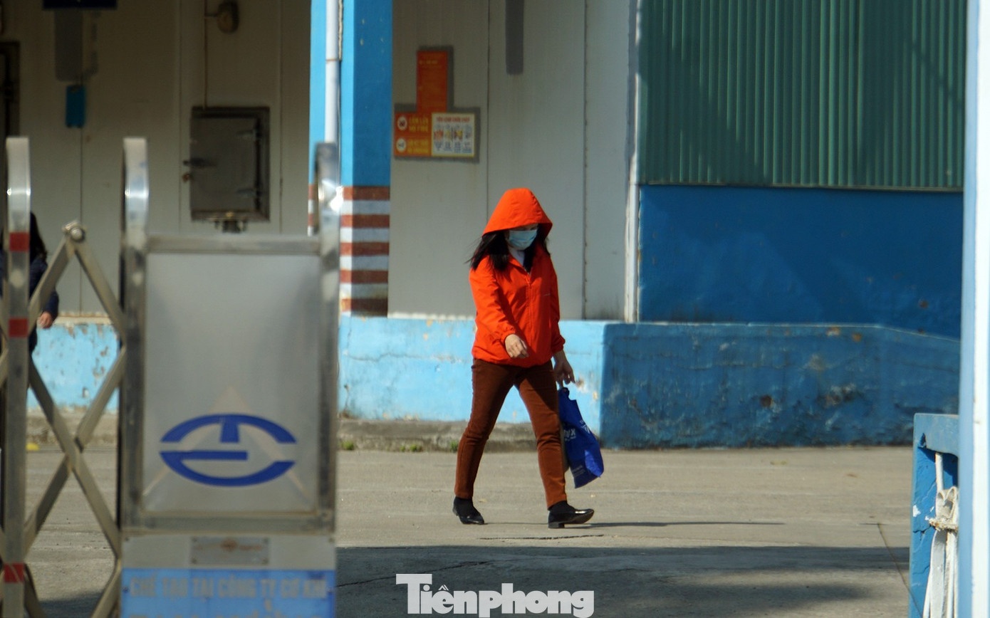 do hop ha long anh 2