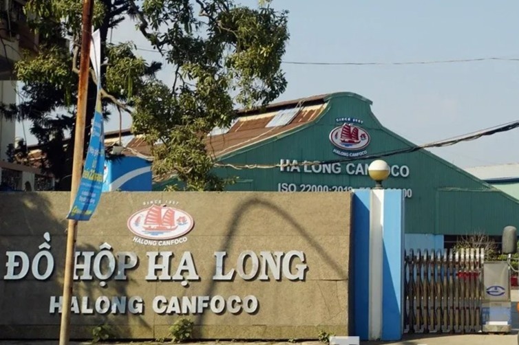 Tinh trang nha may Do hop Ha Long sau lum xum thit heo benh hinh anh