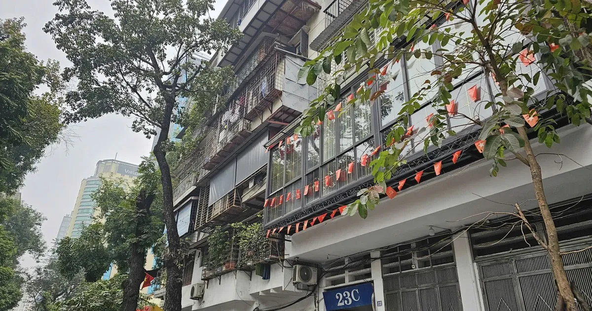 Nha tap the cu o Ha Noi bong nhien 'het gia' hon 360 trieu dong/m2 hinh anh