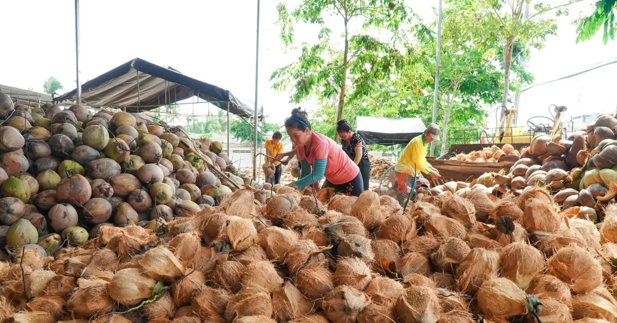 Dang sau viec dua gia nhap nhom xuat khau ty USD hinh anh