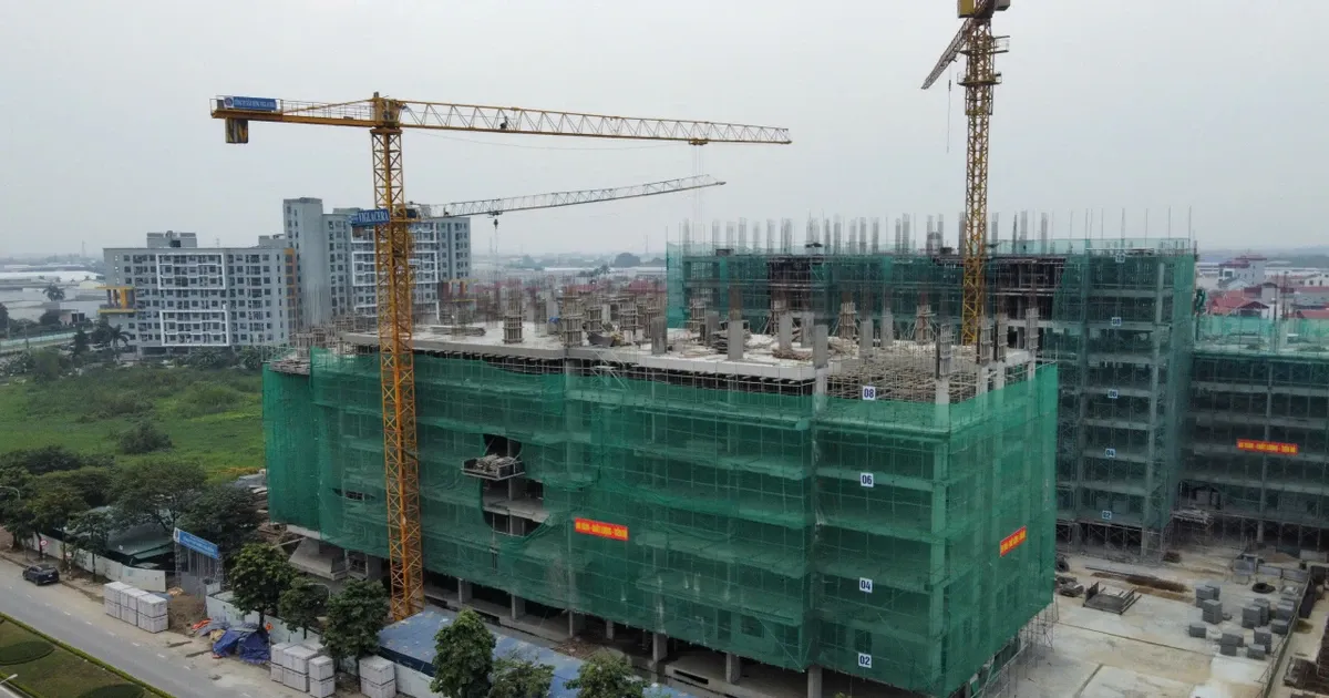 Doanh nghiep bat dong san 'dung ngoi khong yen' hinh anh