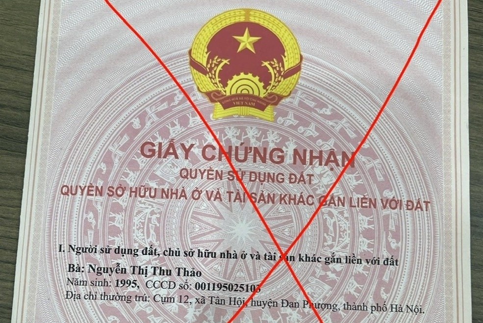 Ha Noi xuat hien so do gia voi thu doan tinh vi hinh anh