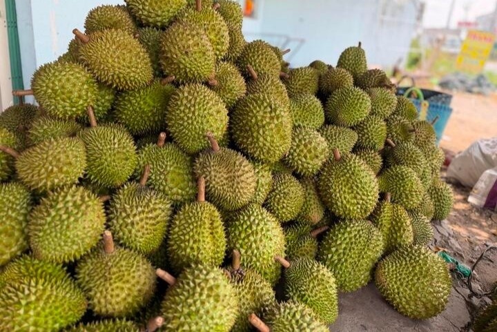 Cadimi: Lo hong ky thuat hay hoi chuong canh bao voi nganh sau rieng? hinh anh