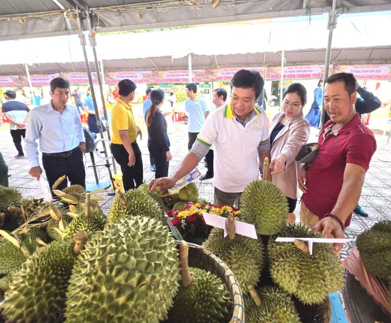 sầu riêng ảnh 3 sau rieng anh 3