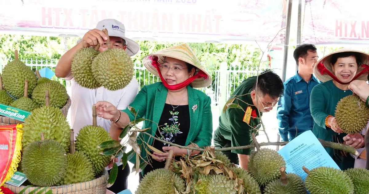 Noi thang ly do gia sau rieng vua cham dinh da roi xuong day hinh anh