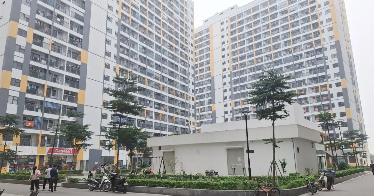 Mo ban 2.000 can nha o xa hoi tai Bac Ninh, gia hon 12 trieu dong/m2 hinh anh