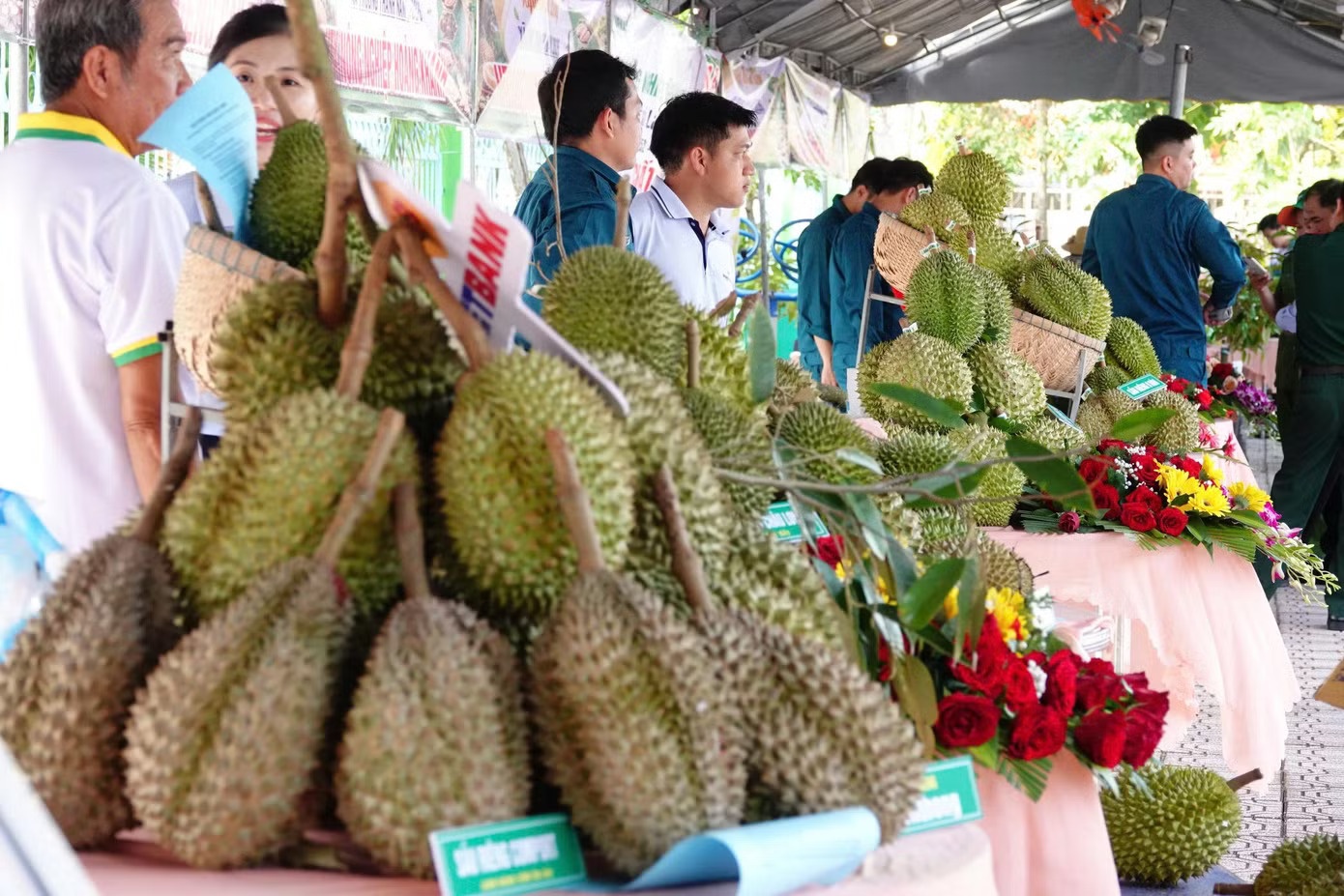 sầu riêng ảnh 6 sau rieng anh 6