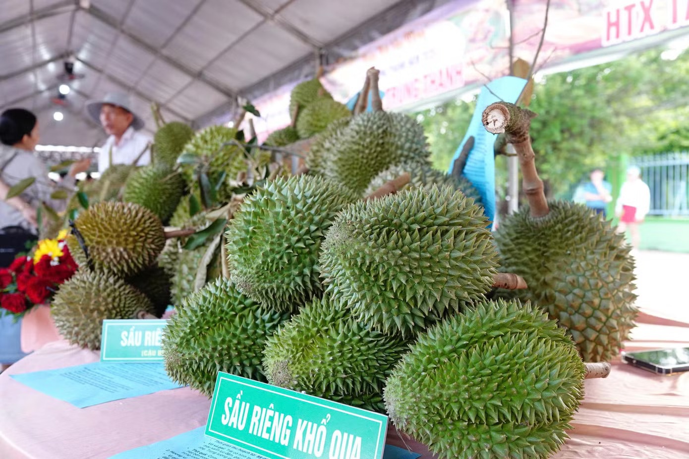 sầu riêng ảnh 5 sau rieng anh 5