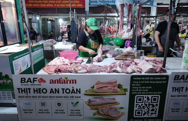 heo anh 3