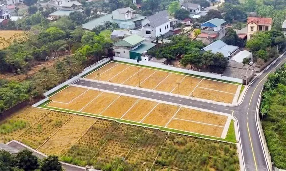 đất nền ảnh 4