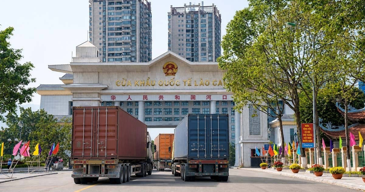 Tỷ giá biến động: Doanh nghiệp xuất nhập khẩu nên làm gì để bảo vệ lợi nhuận