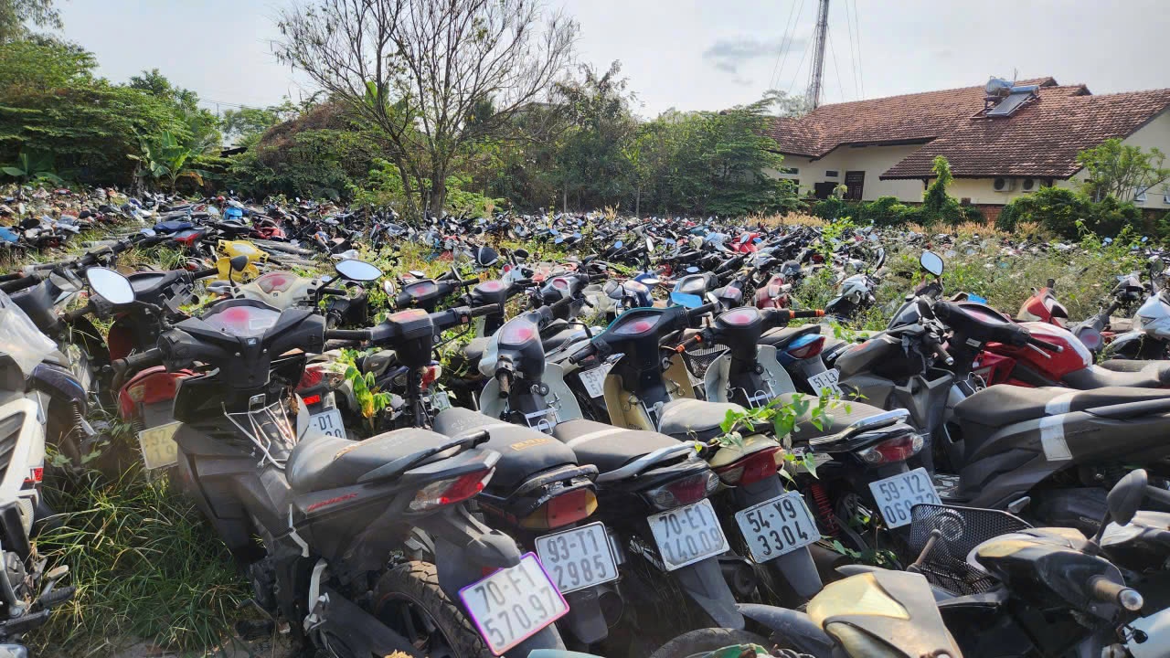 TP.HCM đấu giá 40.000 xe vi phạm làm phế liệu, có cả Vespa, SH